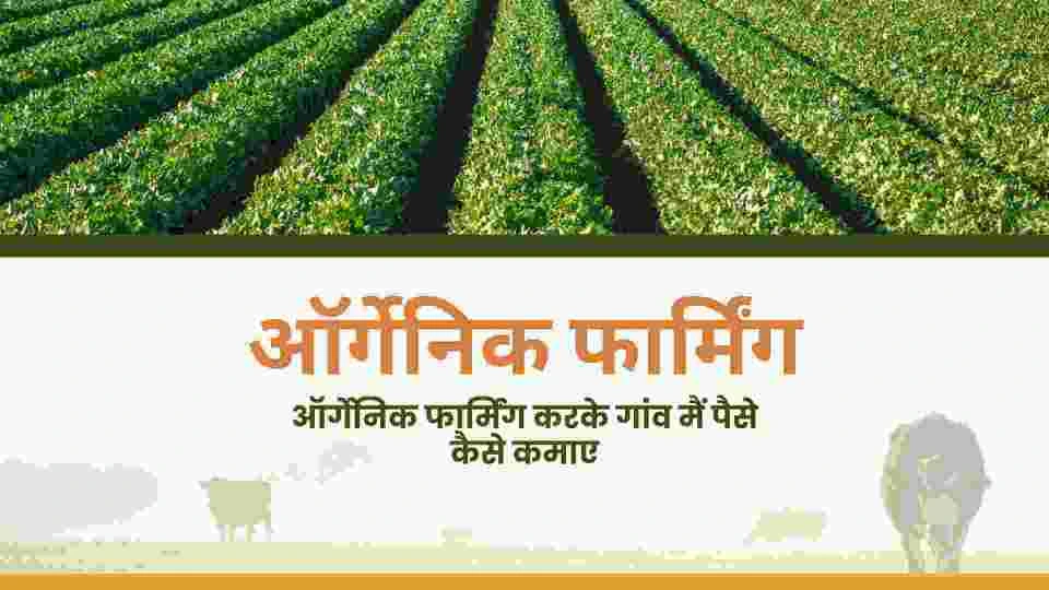 Gavn me paise kaise kamaye