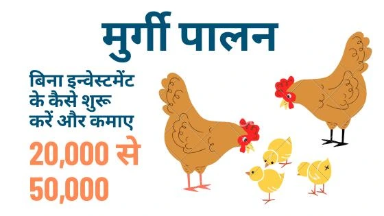 मुर्गी पालन से बिना इन्वेस्टमेंट पैसे कैसे कमाए